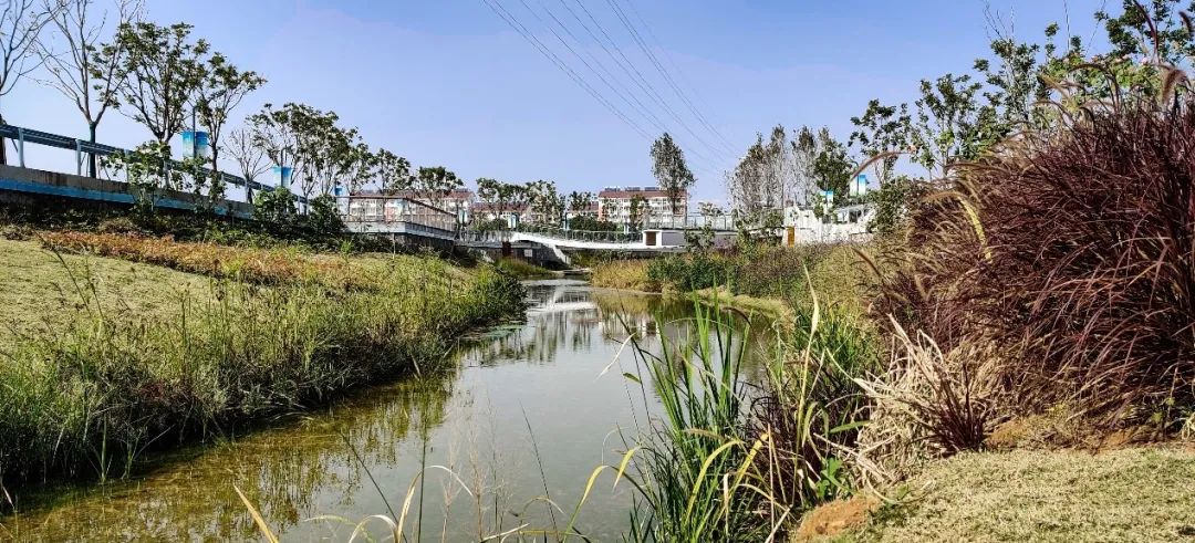 浦口区永宁街道玉兰河环境整治工程丨中国南京丨北京正和恒基滨水生态环境治理股份有限公司,扬州市勘测设计研究院有限公司-69