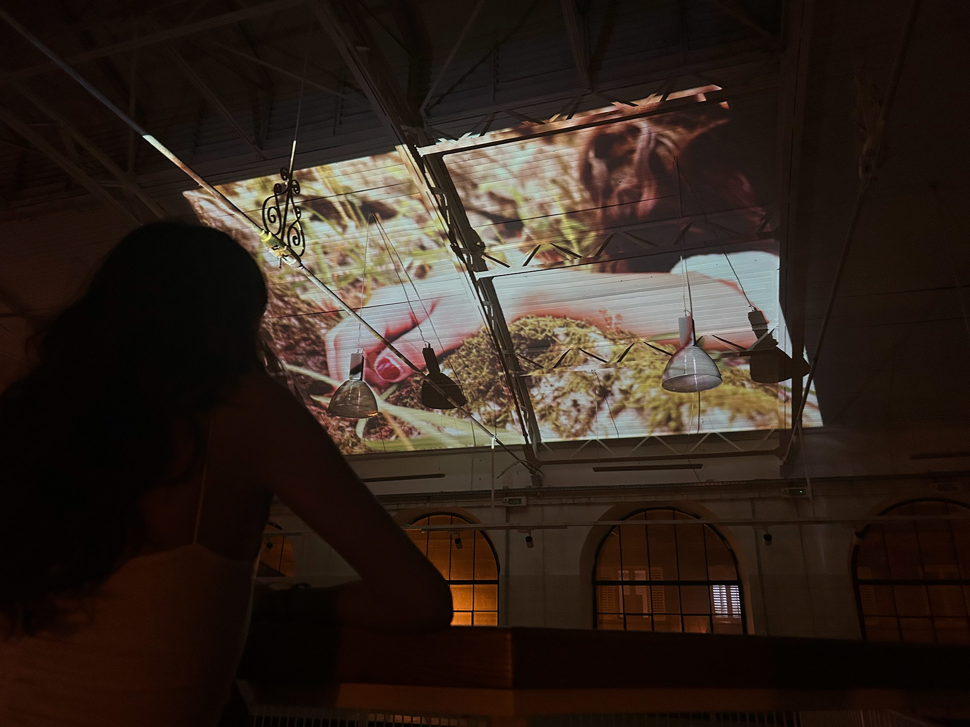 里耶卡25号警笛汤（注：由于SIREN SOUP不太明确确切含义，警笛汤可能不太符合实际情况，这里是按字面进行翻译，若有更多背景信息可使翻译更准确） 丨Mo Abdelbary等11人组成的SSS Crew-88