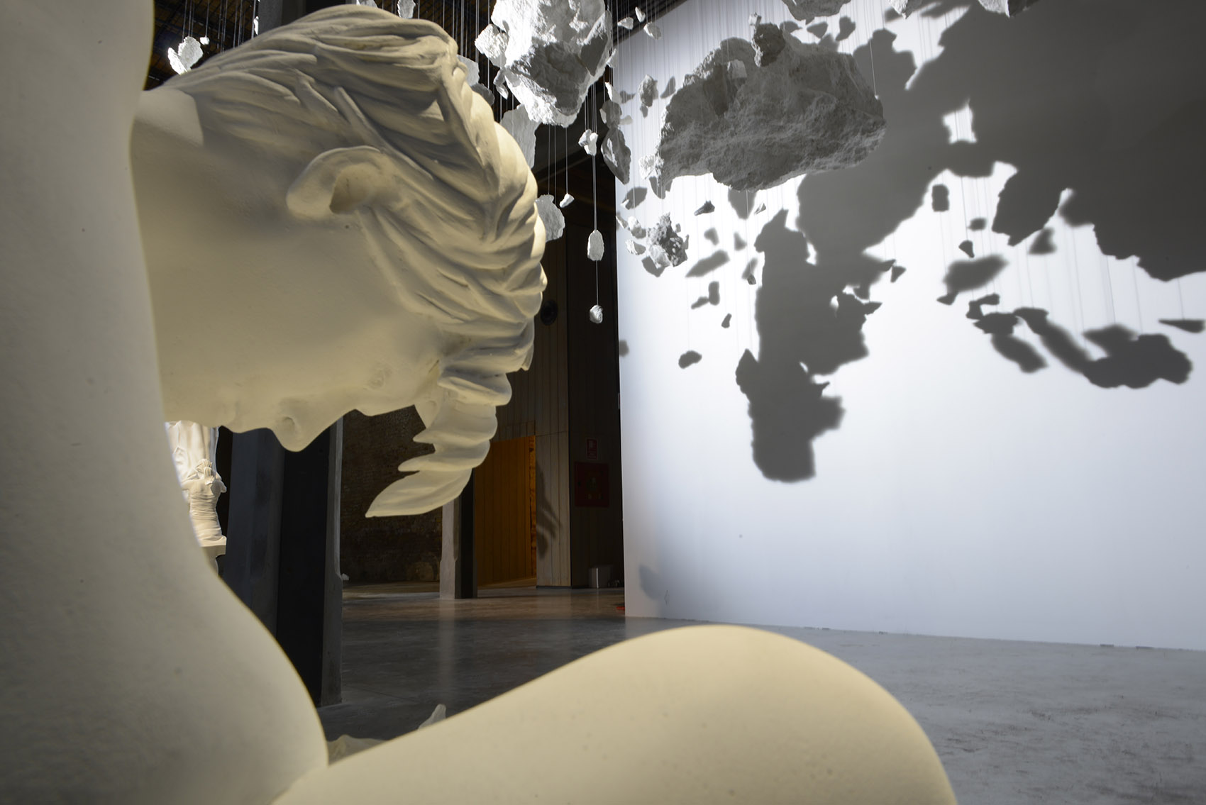 问题之马 / Claudia Fontes-34