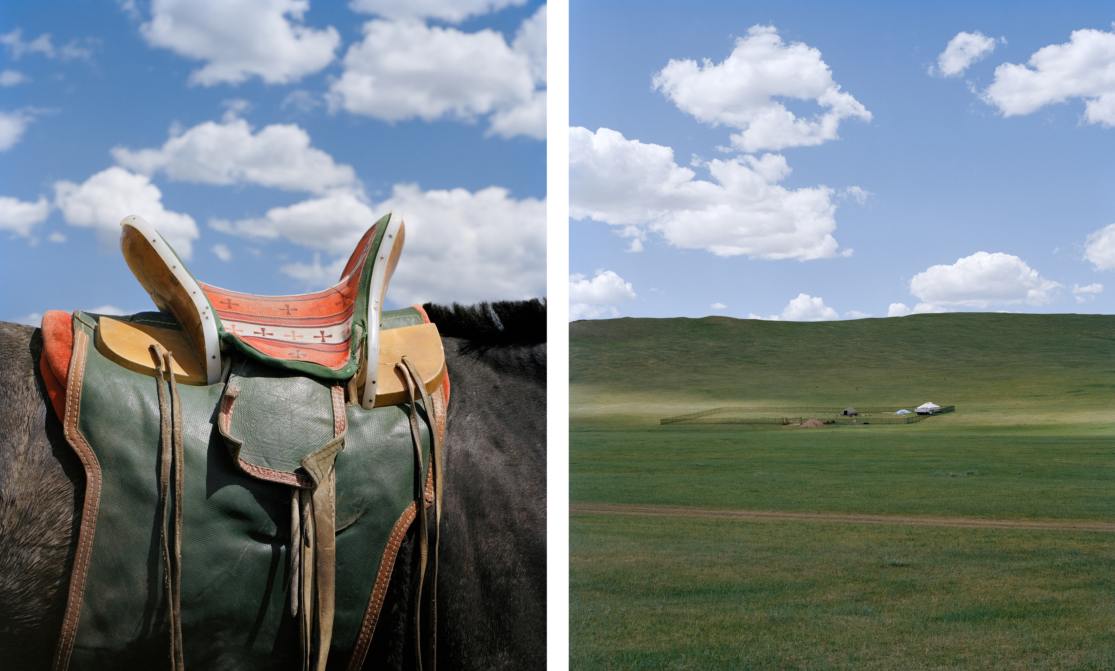 回声三号·蒙古丨蒙古丨LIYE-20