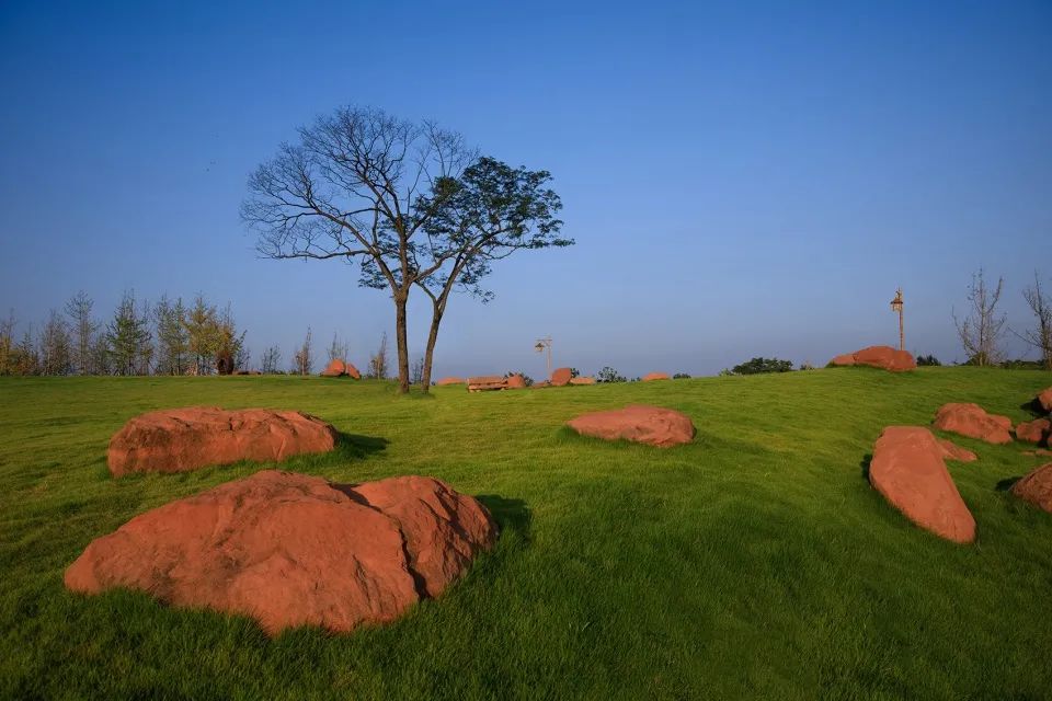 成都新希望种子乐园丨蓝海景观-83