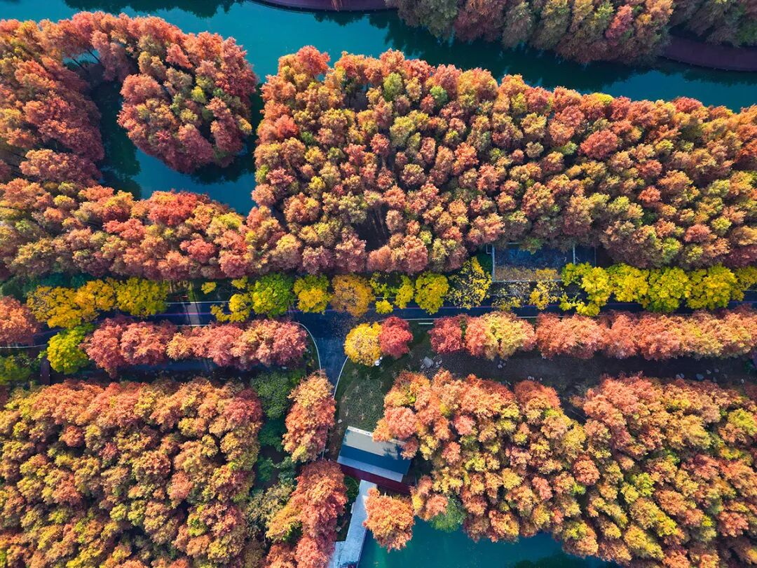 横沔公园丨中国上海丨上海市园林设计研究总院有限公司-2