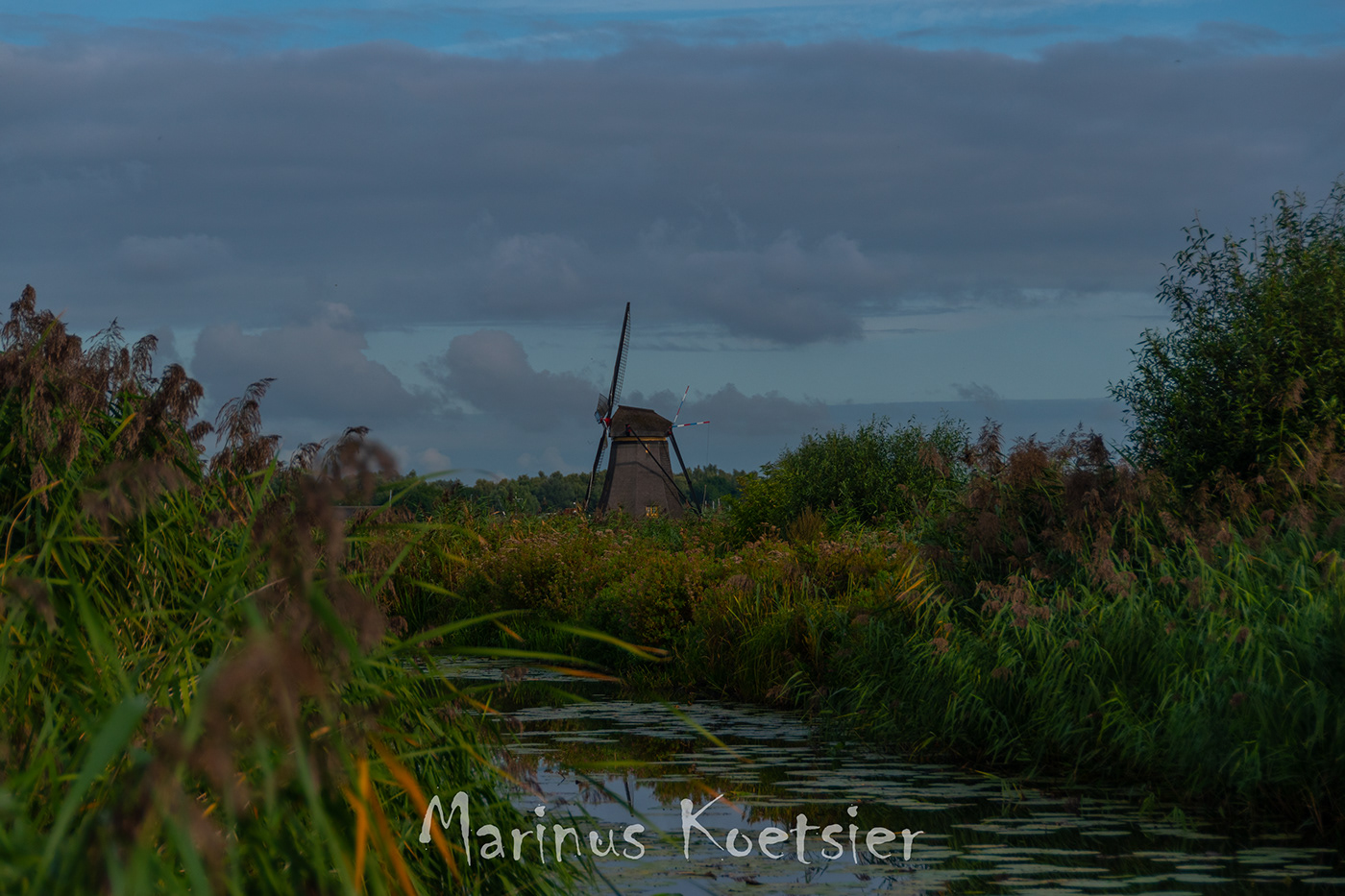 Just Windmills-3