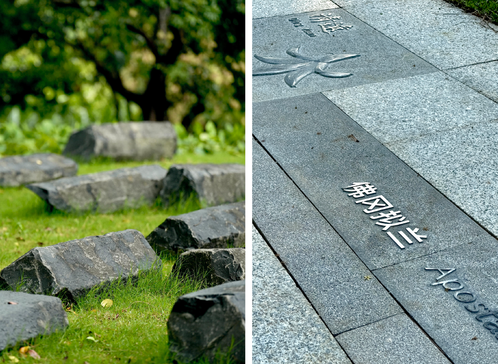 十一赏景别错过！华南国家植物园[绿美广东物种展示园]-97