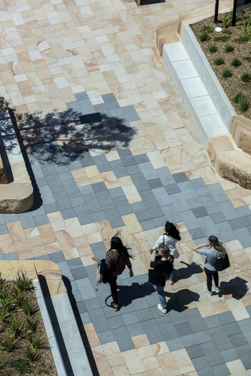 悉尼 Susan Wakil 健康区丨澳大利亚悉尼丨Arcadia Landscape Architecture-10