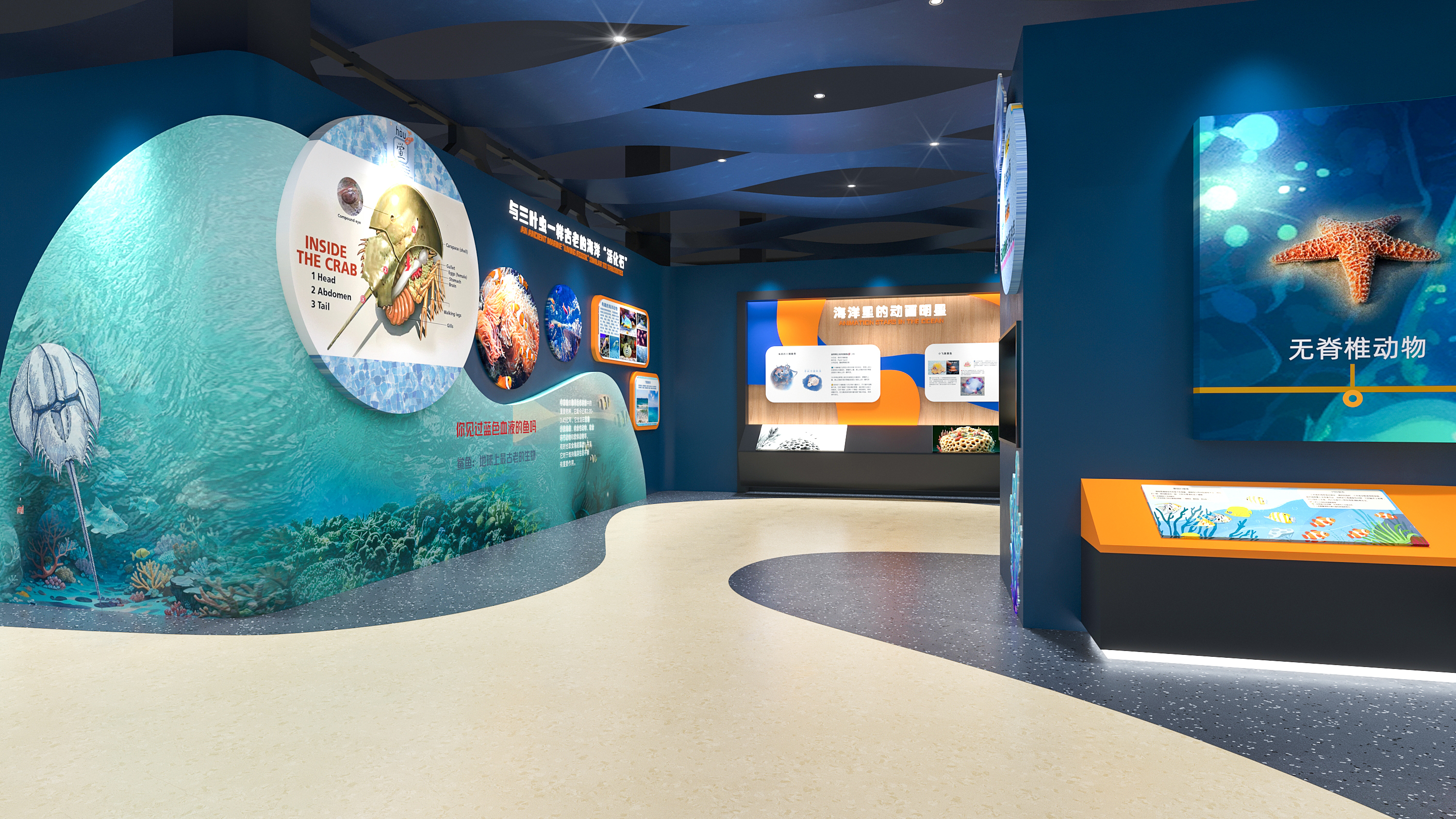 海洋生物科普展馆展厅-8