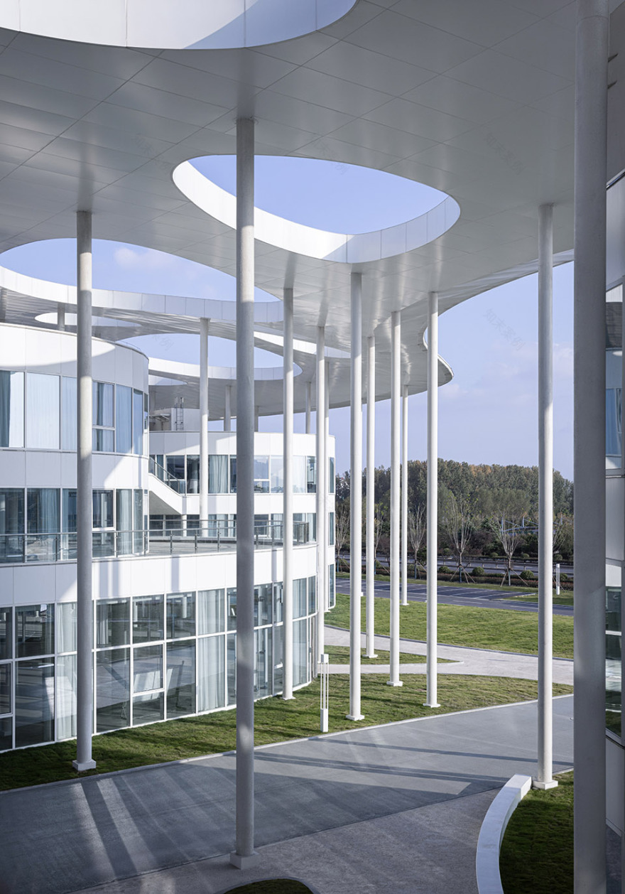 日照茶叶科创示范园丨中国日照丨孔祥伟工作室-45