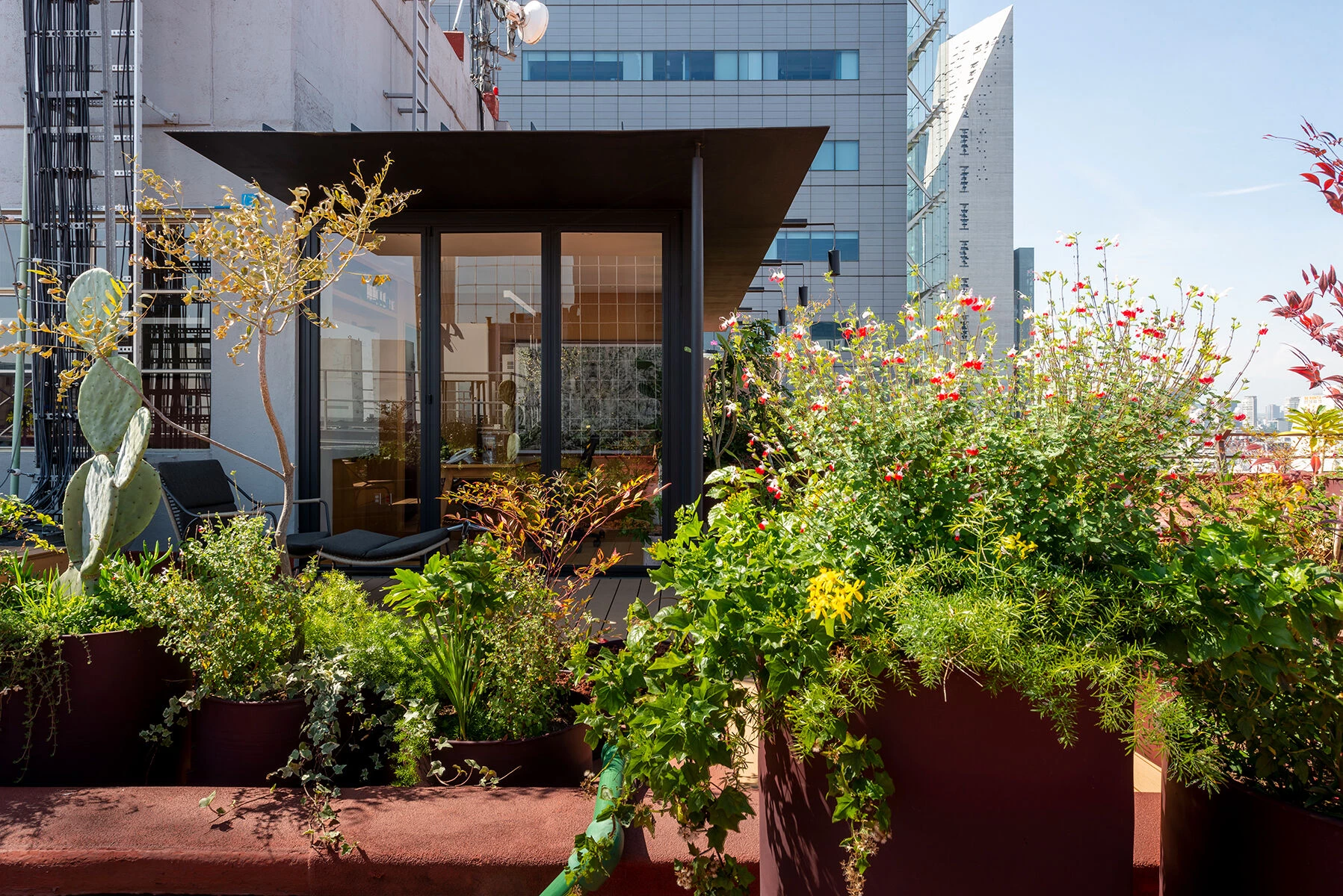 墨西哥城繁忙大道上的空中办公室改造-34