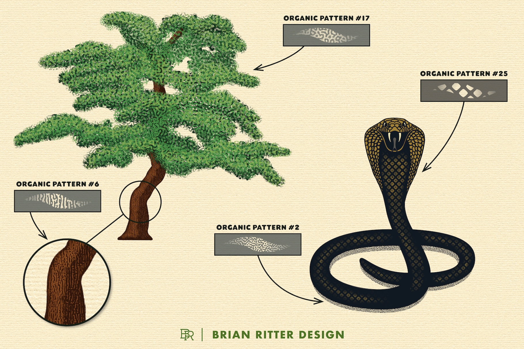 Organic Toolkit-2