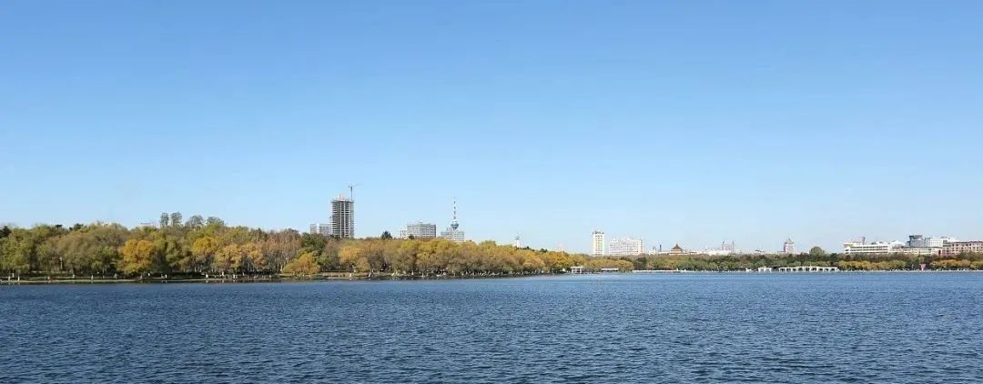 长春万科柏翠阅湖（一期）丨中国朝阳丨深圳市派澜景观规划设计有限公司-6