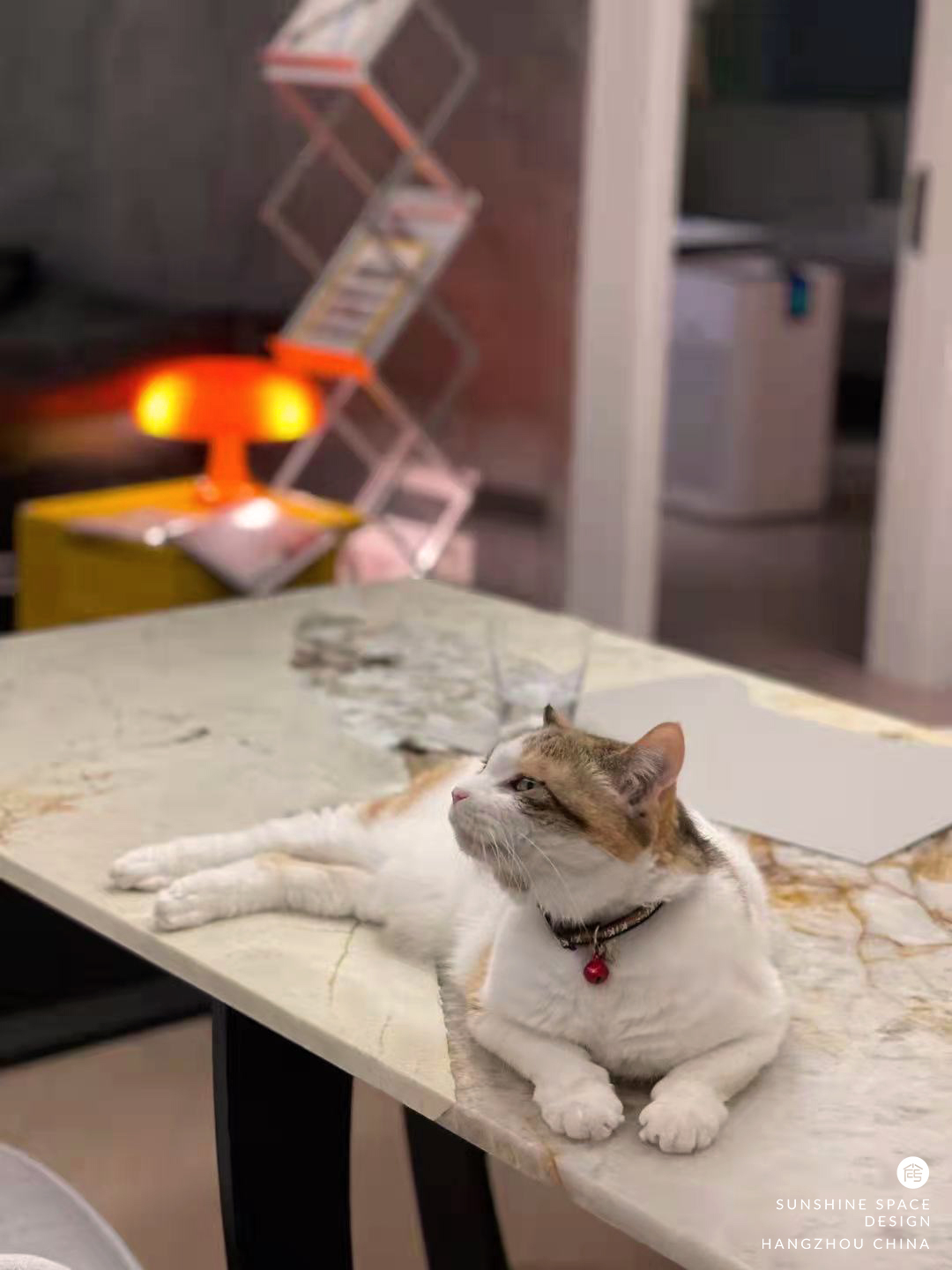 杭州精英女青年的个性梦想家丨中国杭州丨祁丽萍,俞灵慧-39