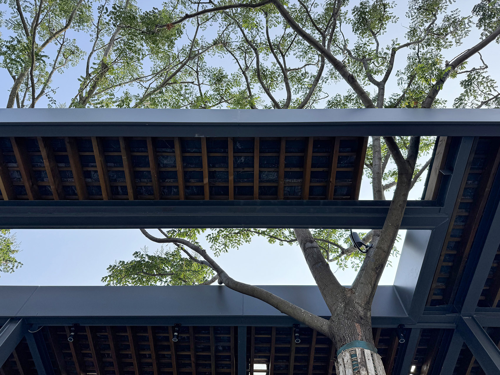 棚朋儿餐厅丨中国四川丨UN  GROUP未集建筑,杨烈-36