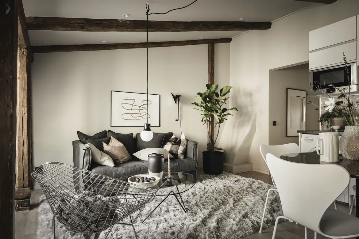 瑞典 1898 年老建筑 44m2 秋日公寓设计-3