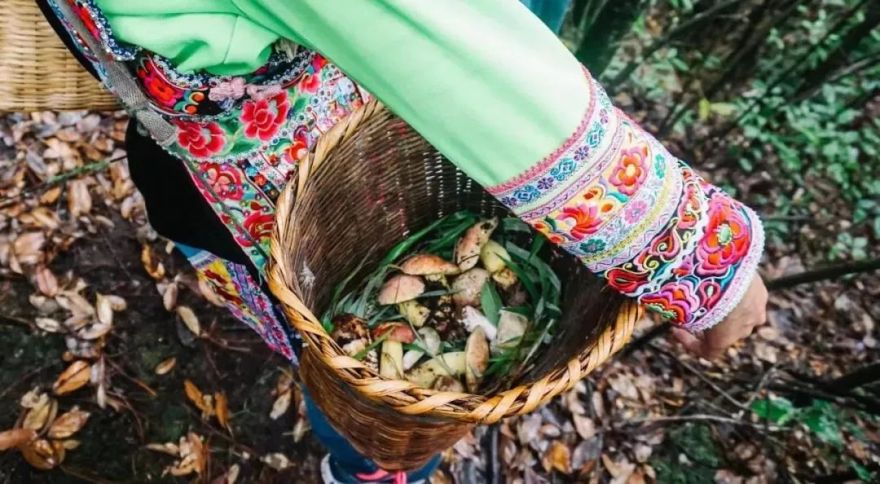 九种菌菇炖出冬日暖心汤丨中国云南-19