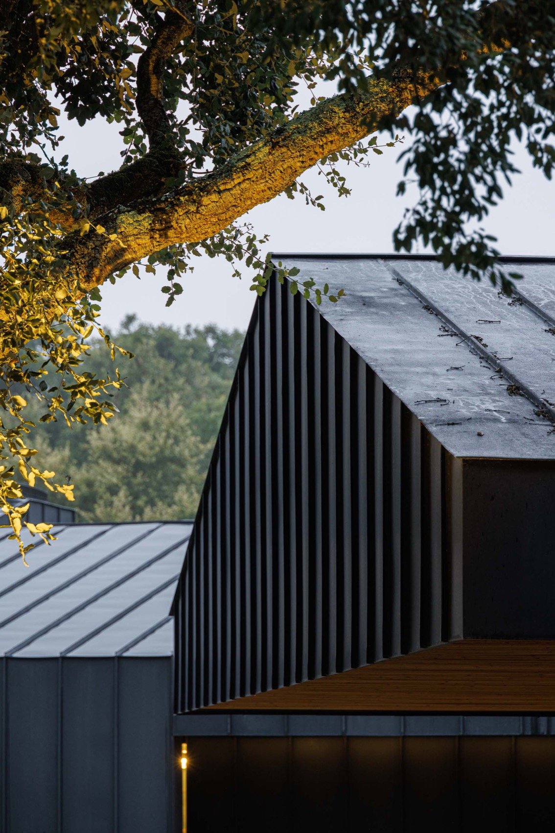 CC住宅 – Quinta dos Carvalhos丨葡萄牙丨Inception Architects Studio-195