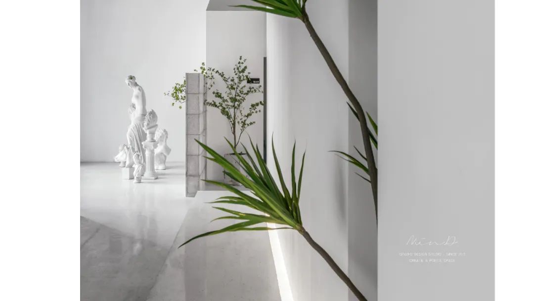 淮安“VISION YAN”摄影空间 | 黑白极简与绿植活力的完美结合-39