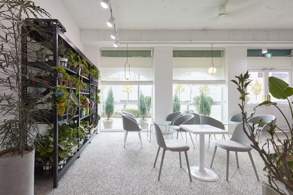 现代植物咖啡厅，30 平米空间里的绿色美学-15