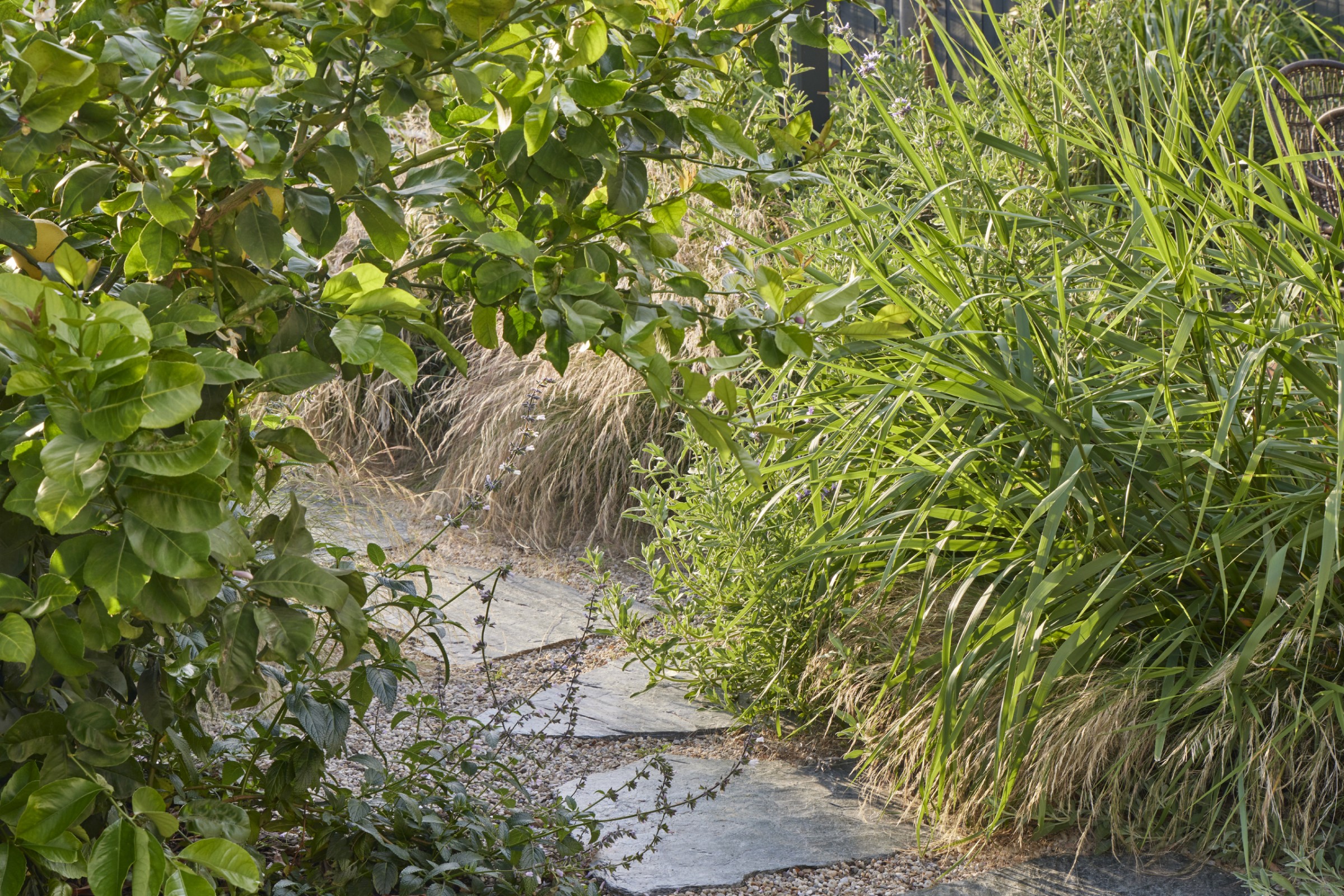 用时间酝酿，为孩子们创造的野趣花园丨美国丨TERREMOTO-29