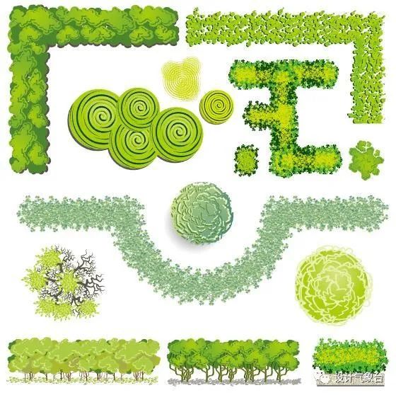 青春系彩平植物素材-55