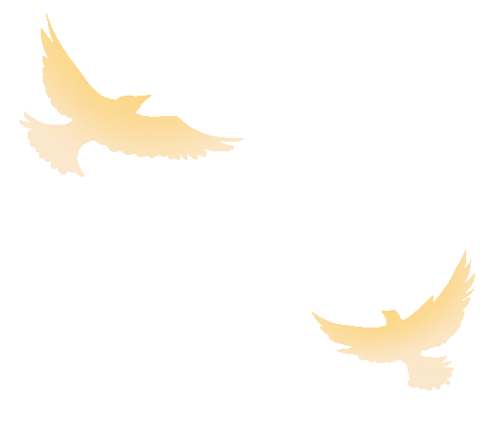 喜报！总院入选上海市勘察设计行业协会成立40周年上海市城市更新优质项目、标志性（典型性）项目-6