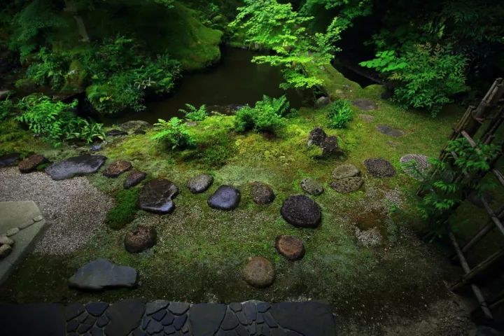 庭院满青苔，极美！-81