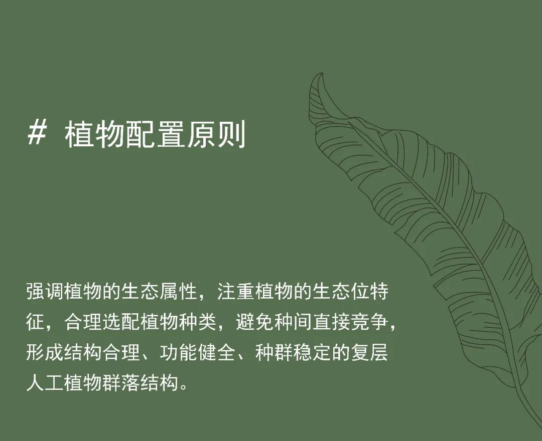 重新组合自然美 · 植物设计浅谈丨中国南京-23