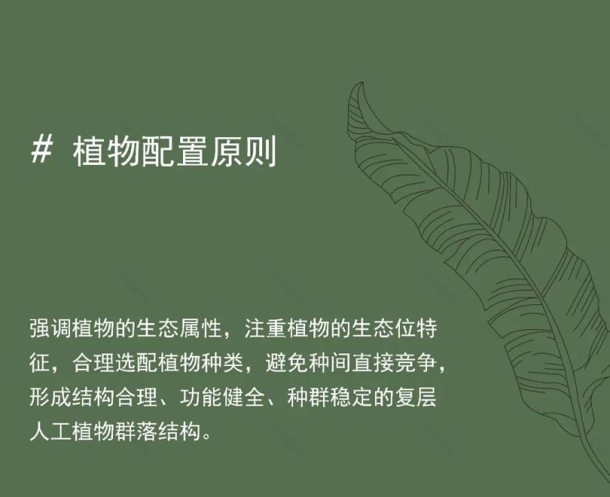 重新组合自然美 · 植物设计浅谈丨中国南京-23