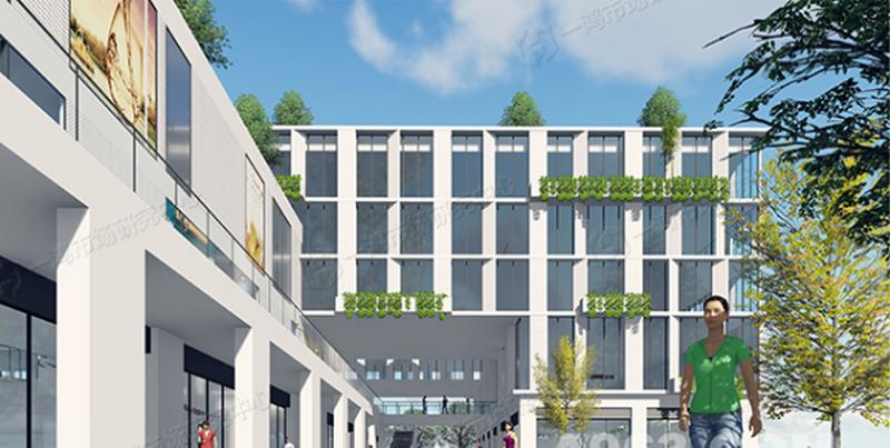 山东临沂农贸市场-2