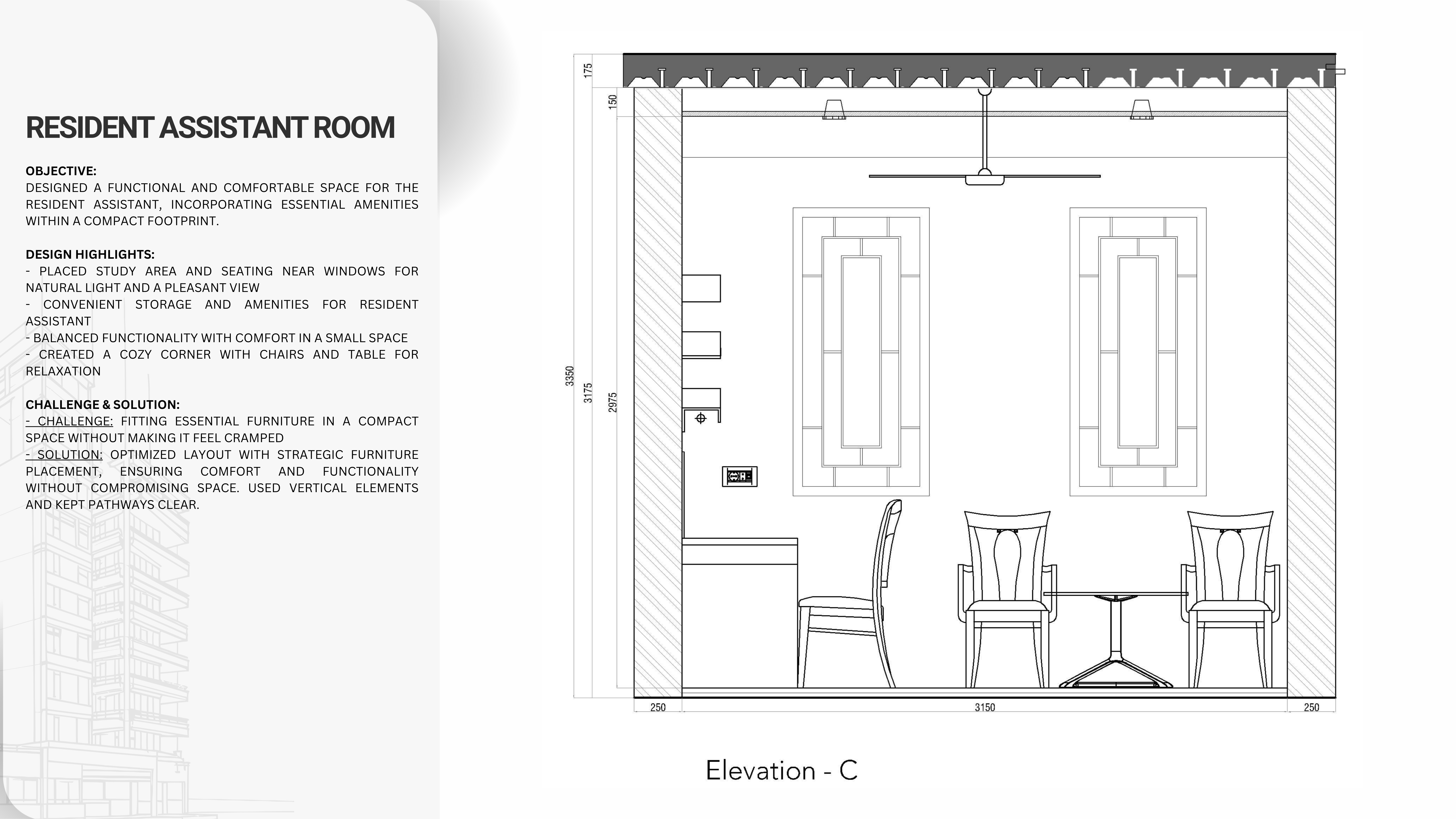 Professional Portfolio-11