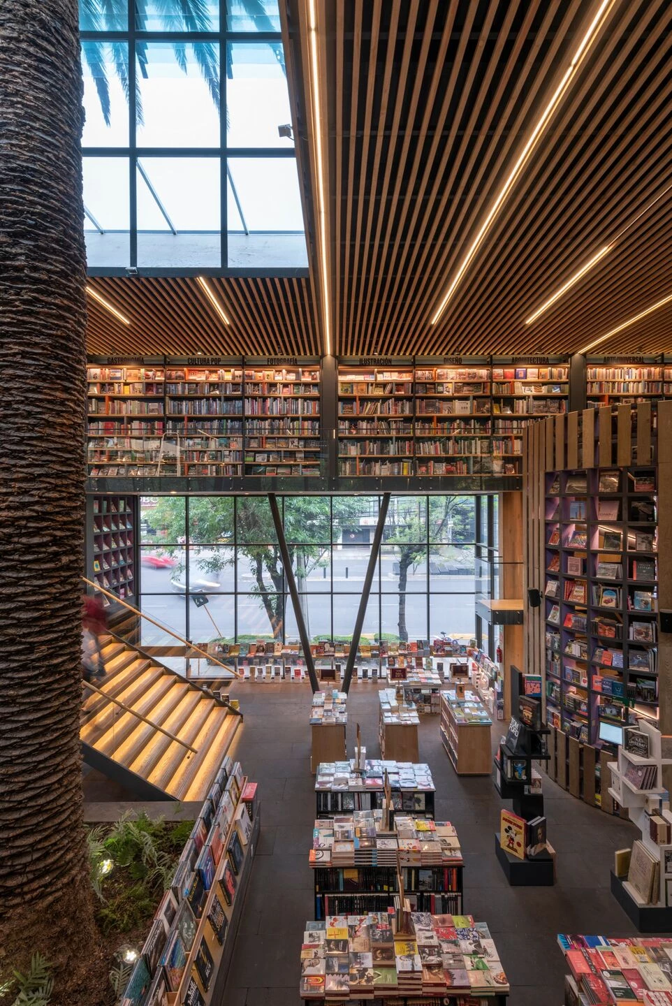 Cafebrería El Péndulo San Ángel-6