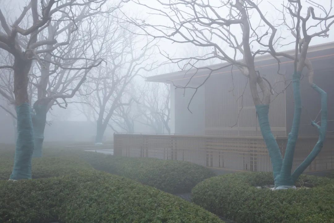 绿城·沁香园植物设计丨栖地设计-28