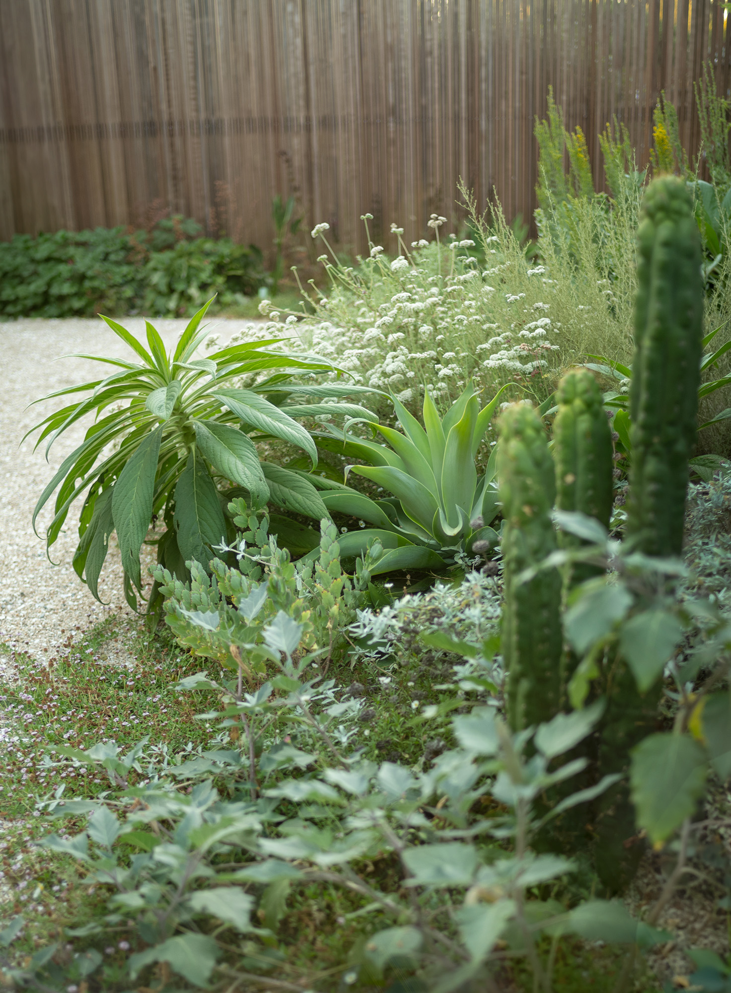 身边风景 | Soft Studio-27