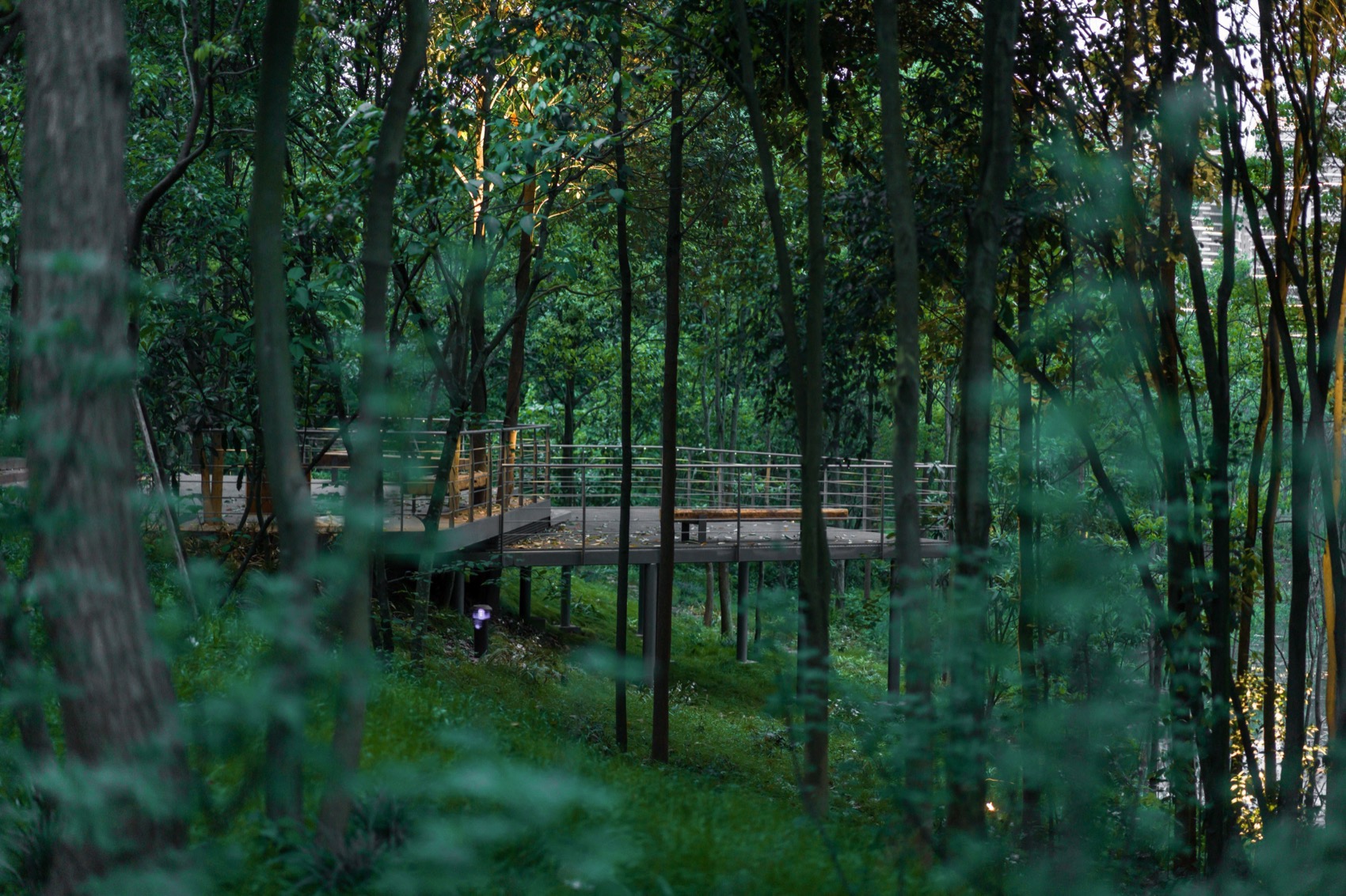 麓野公园丨中国成都丨四川乐道景观设计有限公司-149