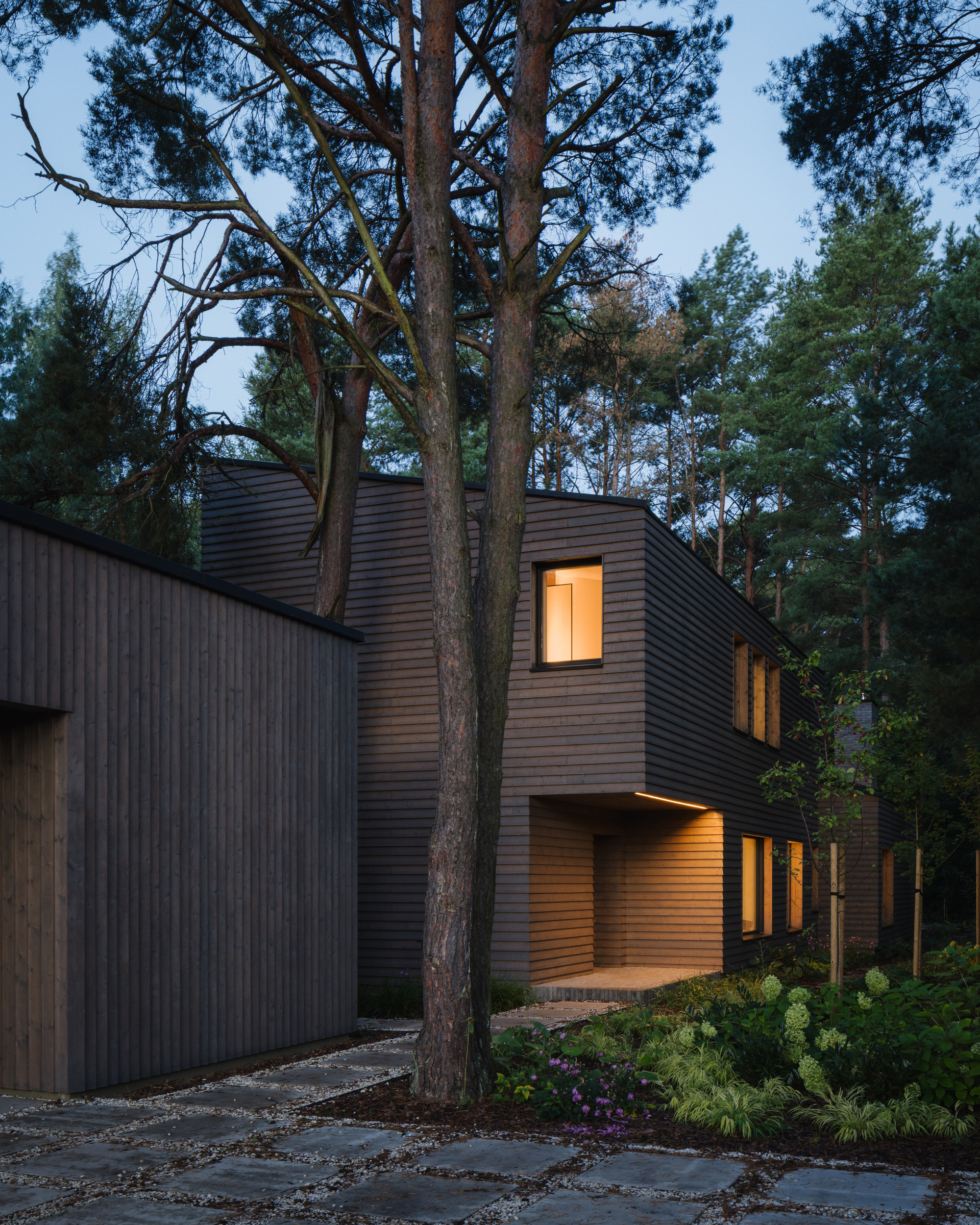 Residence on the Edge of National Forest / Studio GAB-46