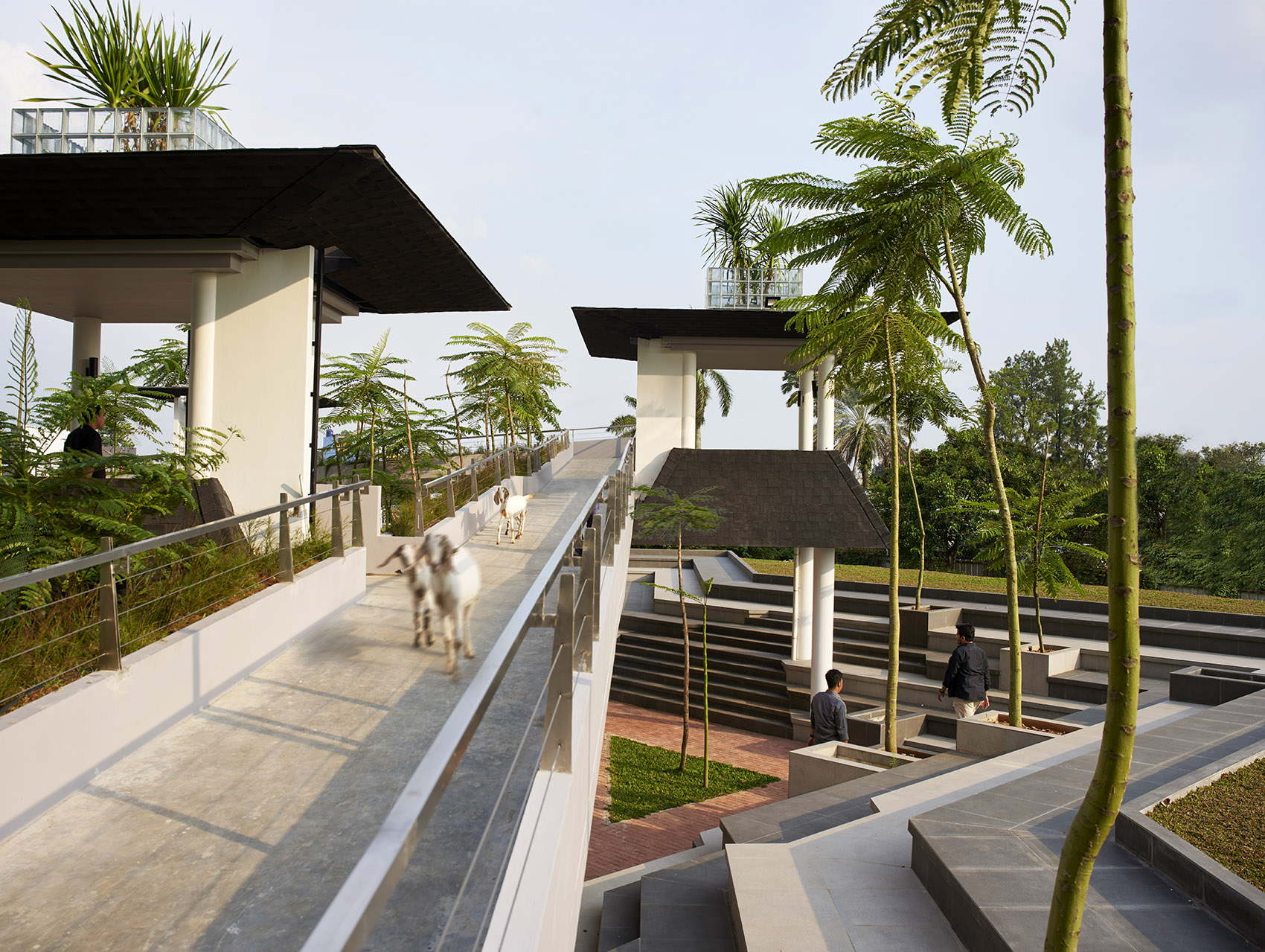 八芒星广场丨印度丨RAD+ar-23