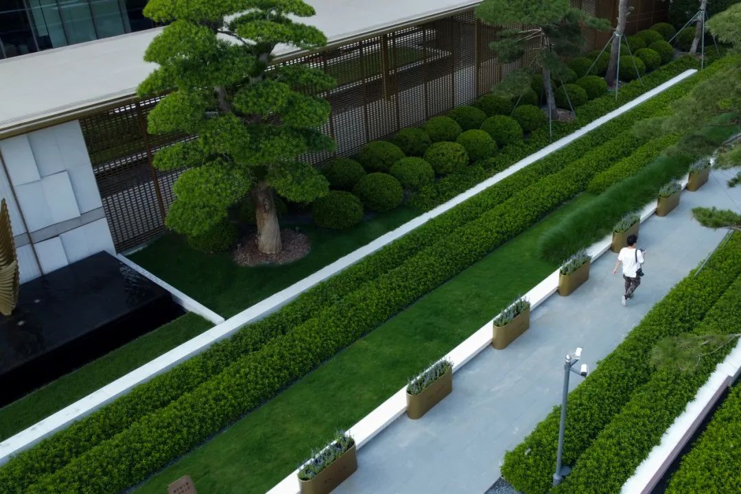 和熙碧影迎明月 | 绿城·沁香园-48