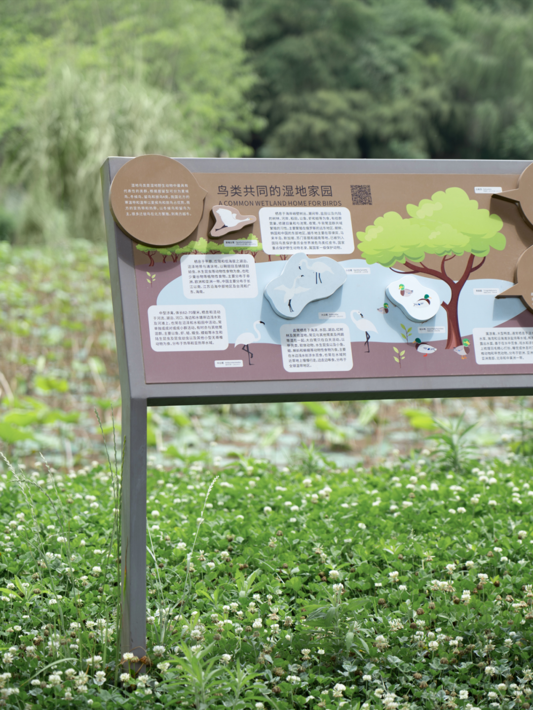 白鹭湾湿地公园自然探索基地丨中国成都丨上海柏熙标识有限公司-16