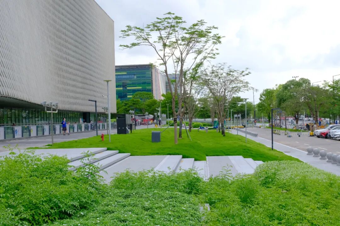 宝安中心区核心路段改造设计再次斩获国际大奖-25