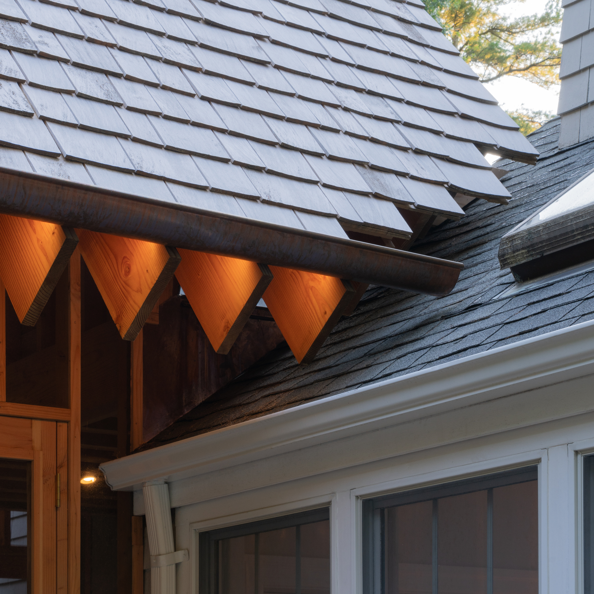 沼泽谷丨美国丨BLDUS-26