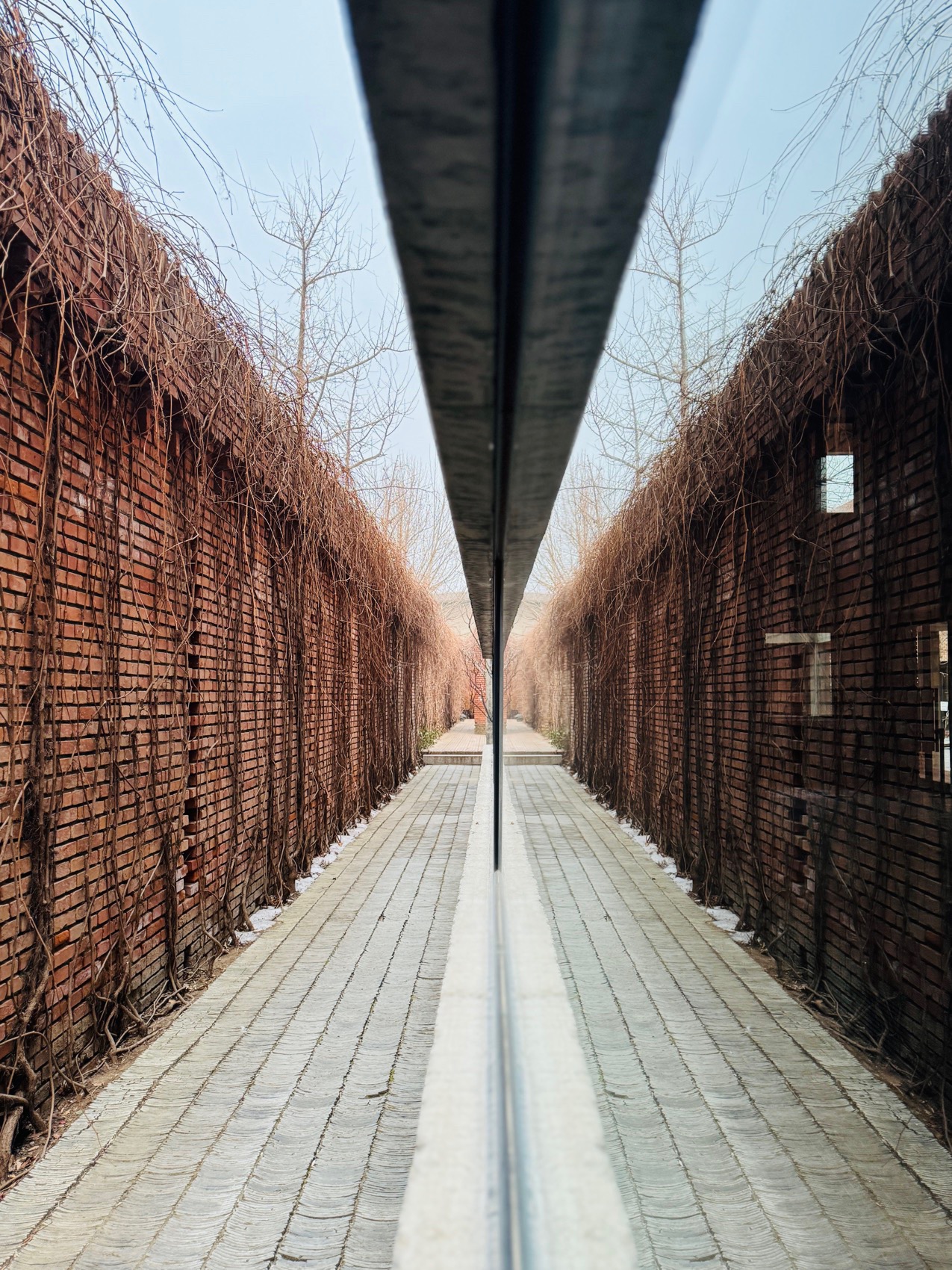 红砖美术馆手机摄影作品，北京 / Kun-84