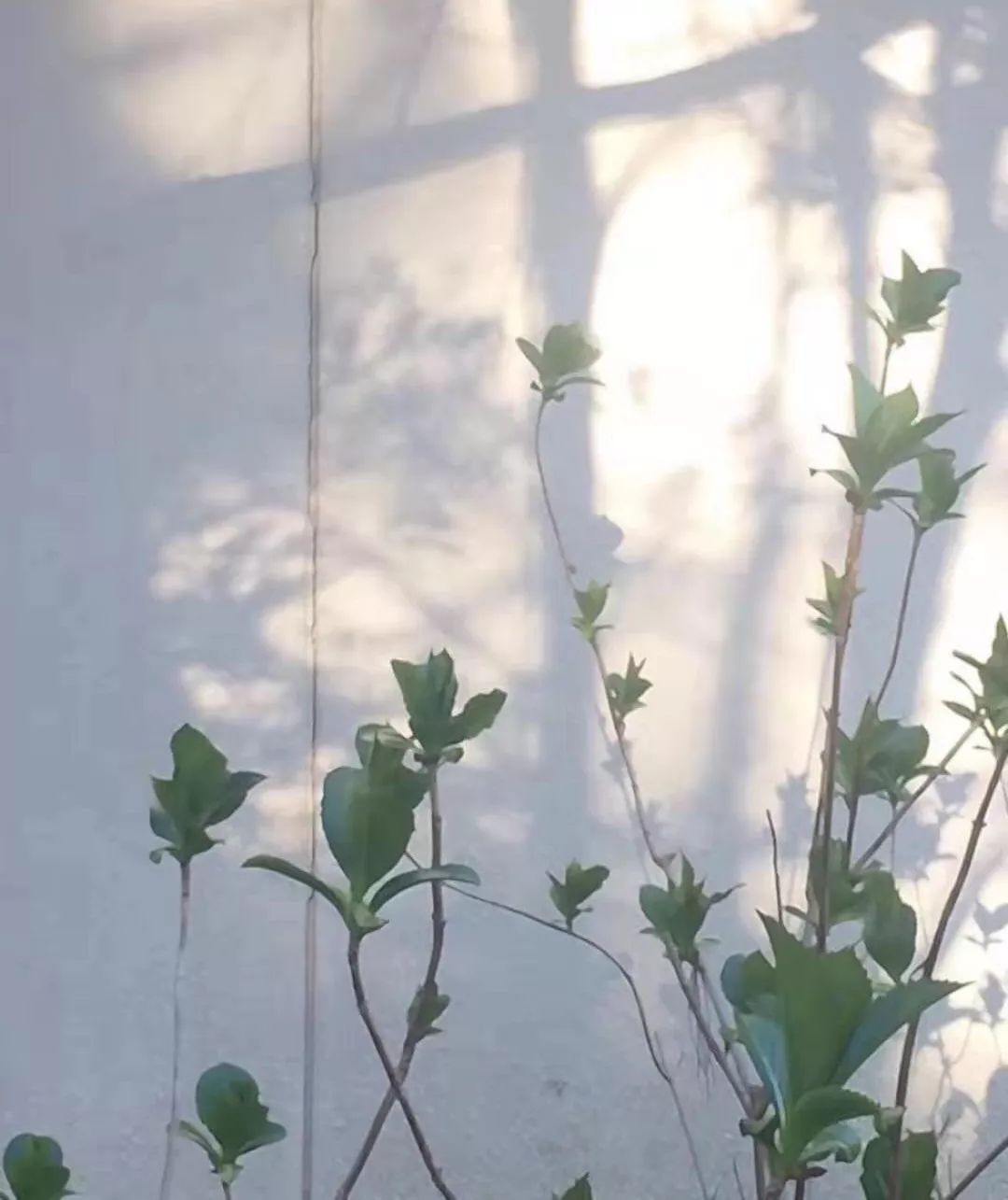 研舍 . 设计 | 简约样板间设计“明媚风情”-3