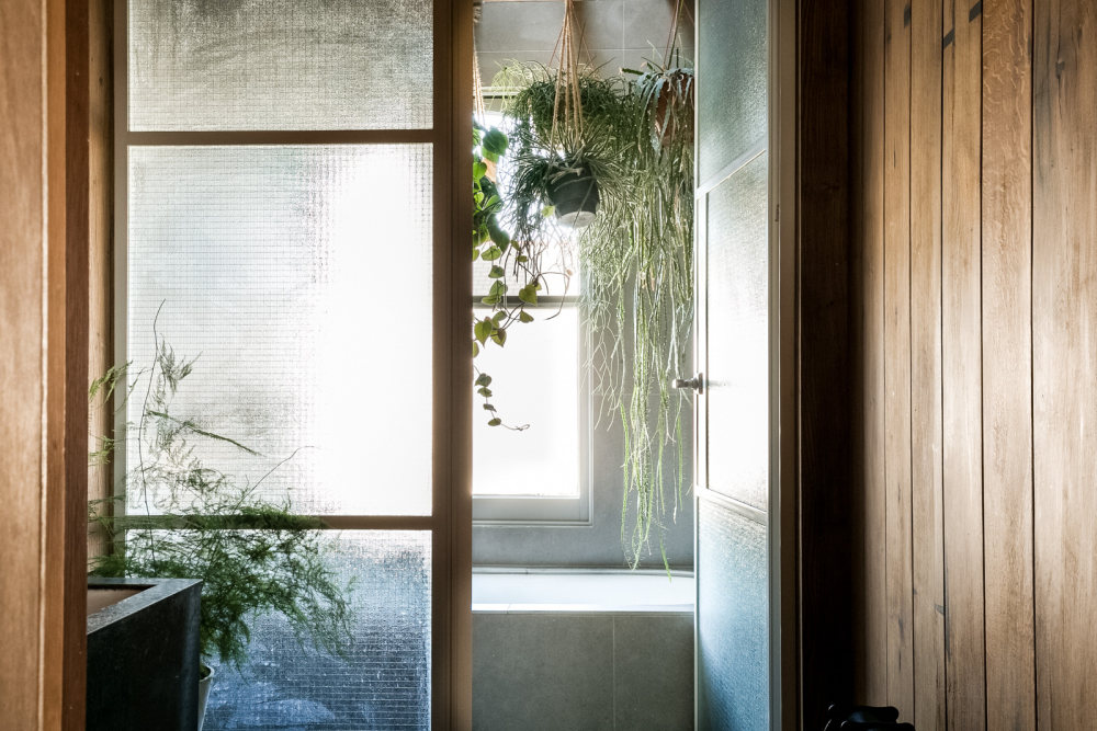 翠绿的；碧绿的；葱茏的-5