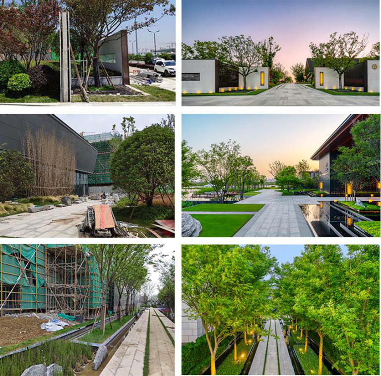 苏州鲁能泰山九号-98