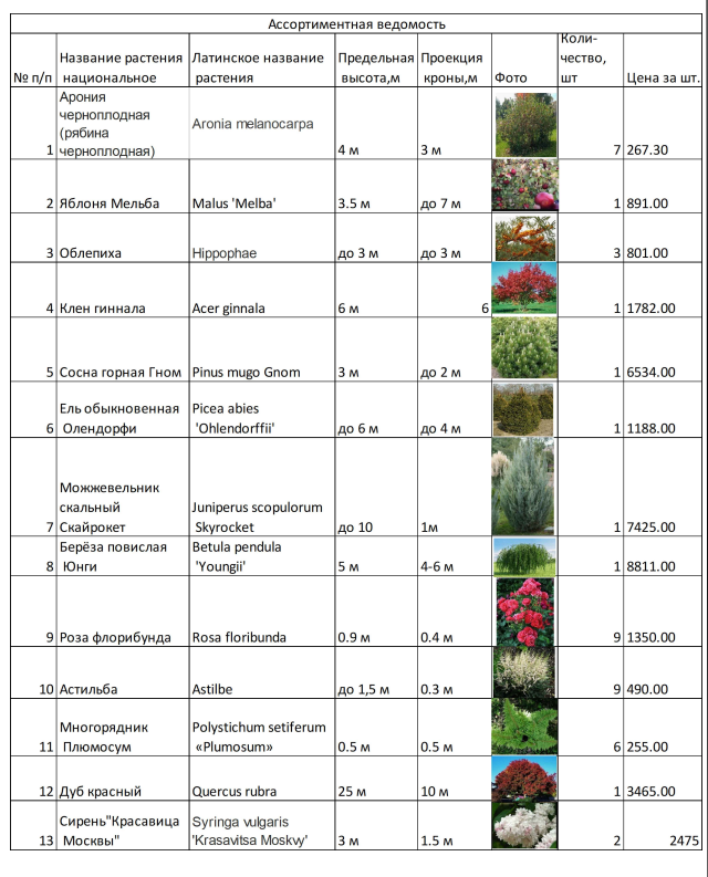 Ландшафтный дизайн участка 25*40-2