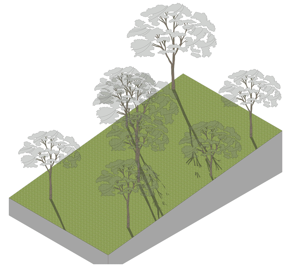 圣殿隧道花园丨印度丨RAD+AR-14