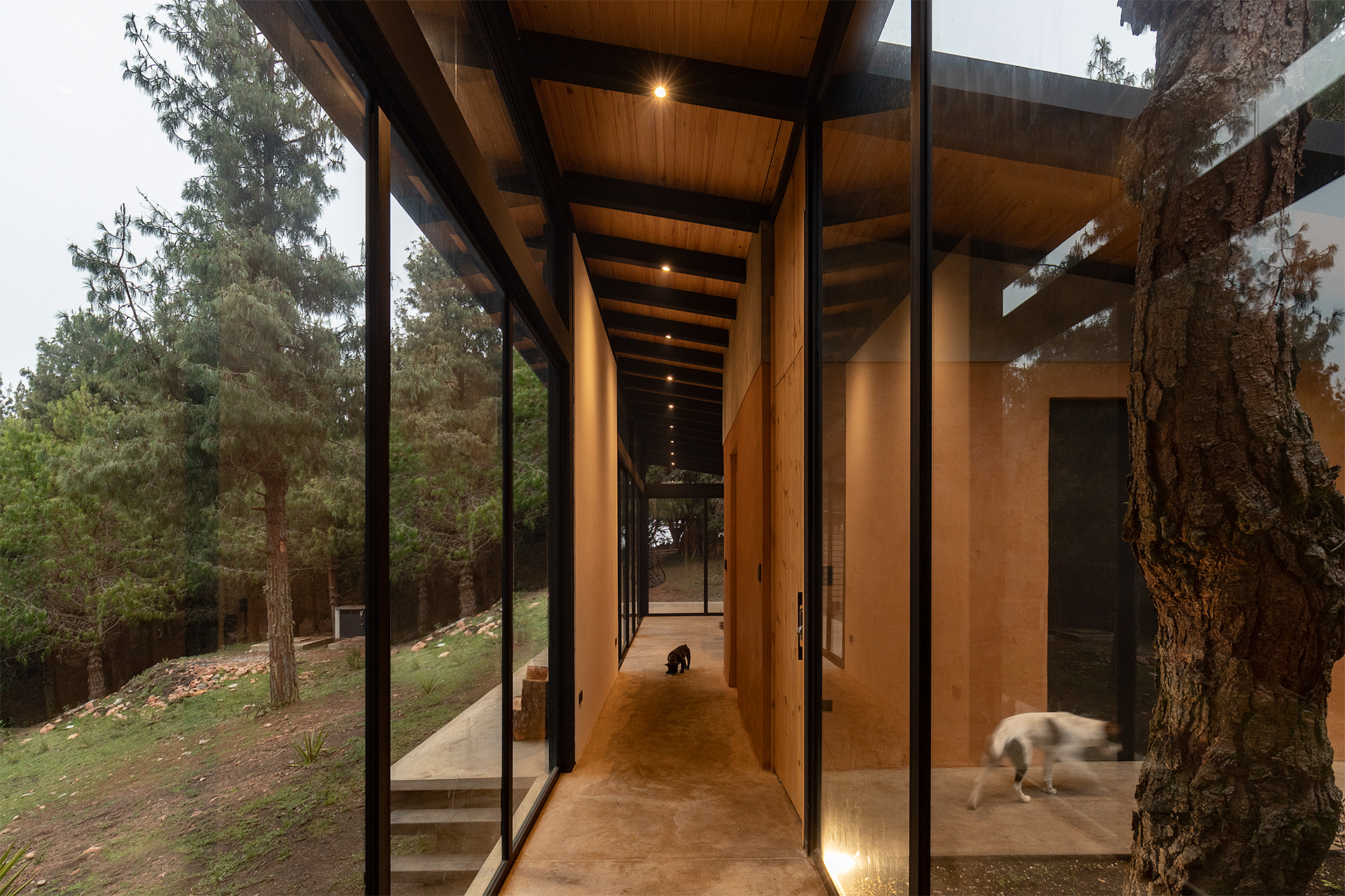 森林之家丨厄瓜多尔阿苏艾丨Abel Guzman Larriva,Juan Vintimilla-14