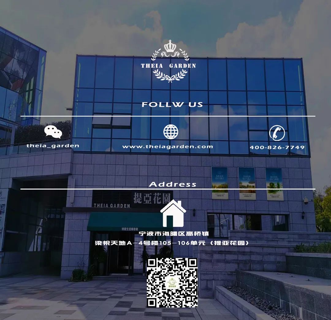 迪赛·东篱 | 闲田信步，采菊东篱-97