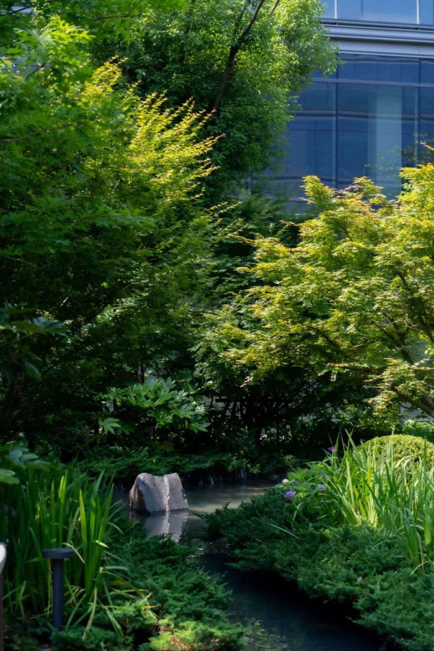 西投绿城·杭州云澜谷丨中国杭州丨ZSD卓时-64