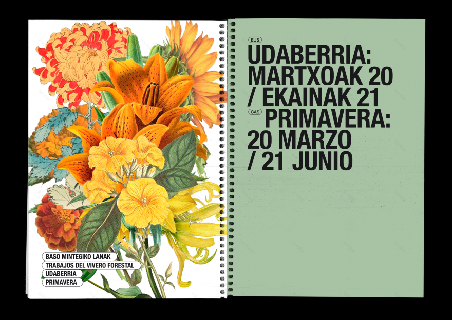 BOSQUE AUTÓCTONO 实地指南-14