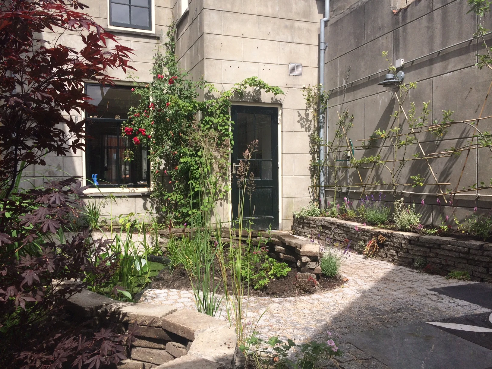 oude stadstuin Alkmaar 园林设计丨未明确提及-1